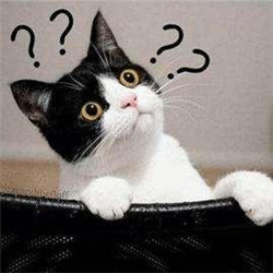 青光眼