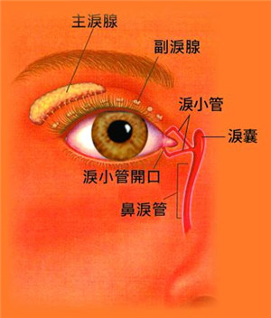 眼眶病,希玛瑞视眼科,上海眼科医院