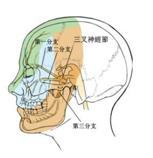 眼表眼角膜