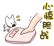 眼表眼角膜