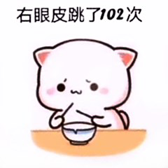 眼表眼角膜