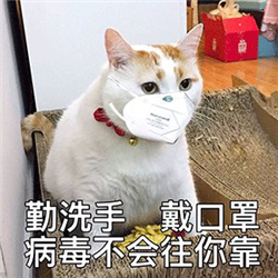 眼表眼角膜