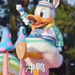 屈光矫视